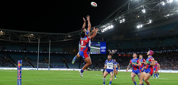 Spirited Knights downed by Dogs