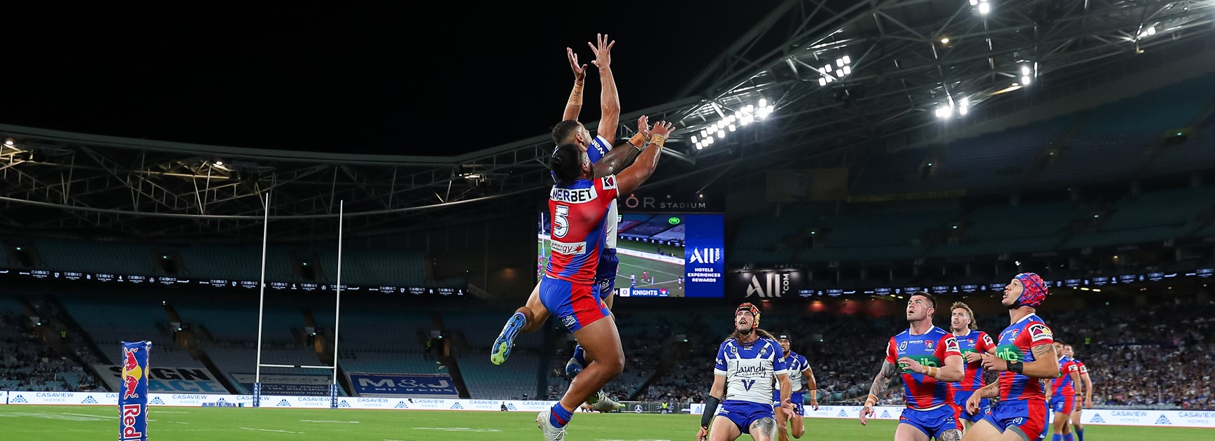 Spirited Knights downed by Dogs