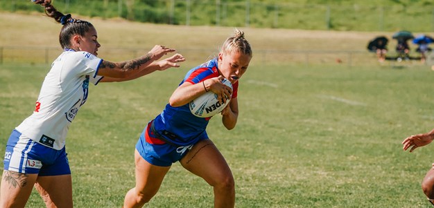 Knights named in Representative Squads