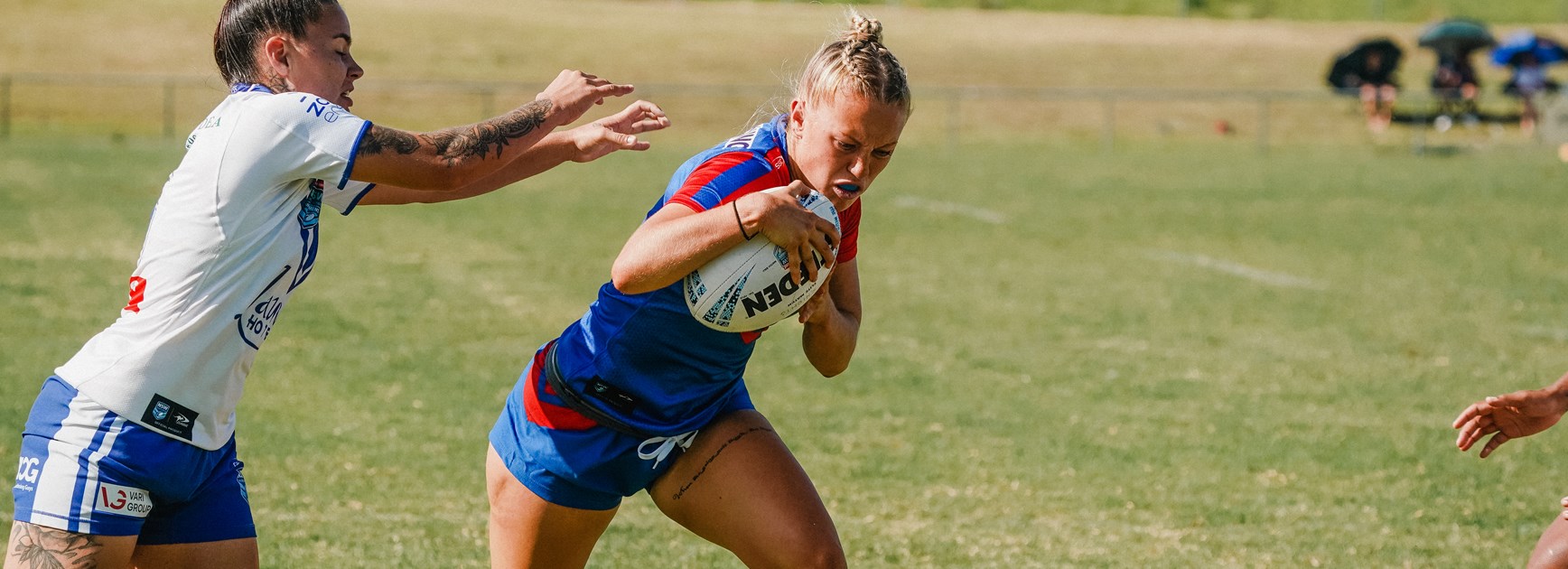 Knights named in Representative Squads