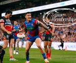 Get behind your Knights for the run-home